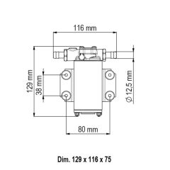 Marco UP2-P Pervaneli Tatlı ve Tuzlu Su Transfer Pompası